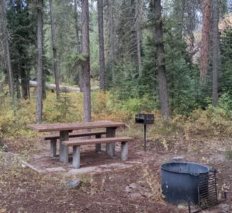 Camper-submitted photo from Ponderosa Campground