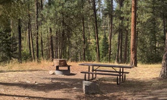 Camping near Trout Creek: Camp Creek Campground, Yellow Pine, Idaho