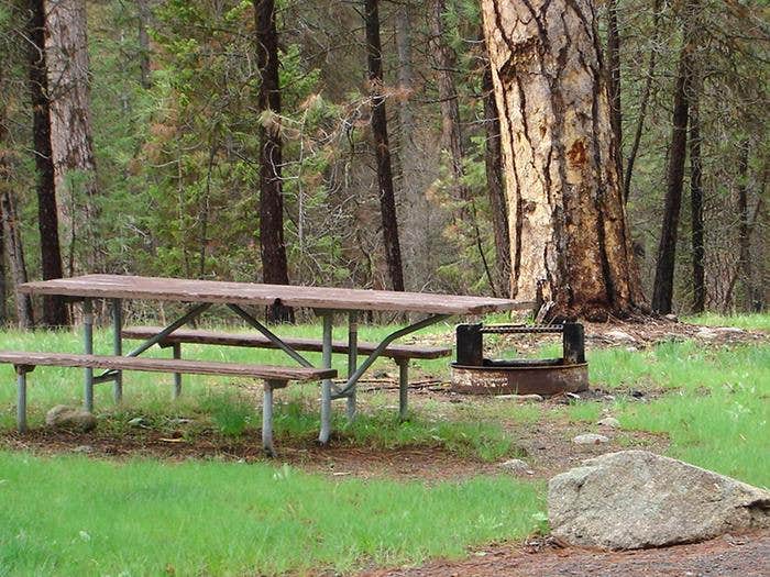 Camper submitted image from Camp Creek Campground - 2
