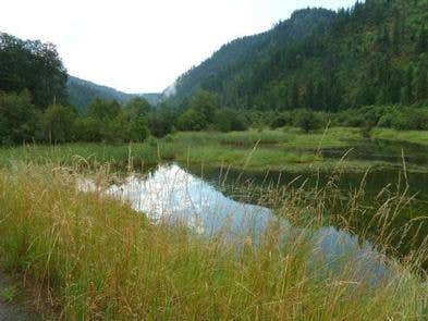 Camper submitted image from Beauty Creek Campground - 1