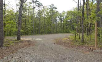 Camping near Bayou Bluff Point of Interest (POI): Moccasin Gap Horse Trail NF Campground, Hector, Arkansas
