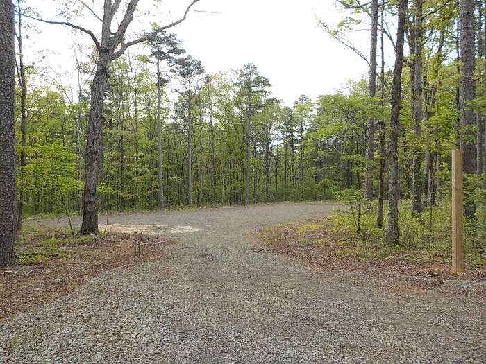 Camper submitted image from Moccasin Gap Horse Trail NF Campground - 1