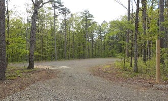 Camping near Bayou Bluff Recreation Area Campground: Moccasin Gap Horse Trail NF Campground, Hector, Arkansas