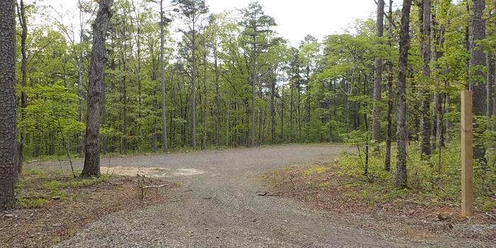 Camper submitted image from Moccasin Gap Horse Trail NF Campground