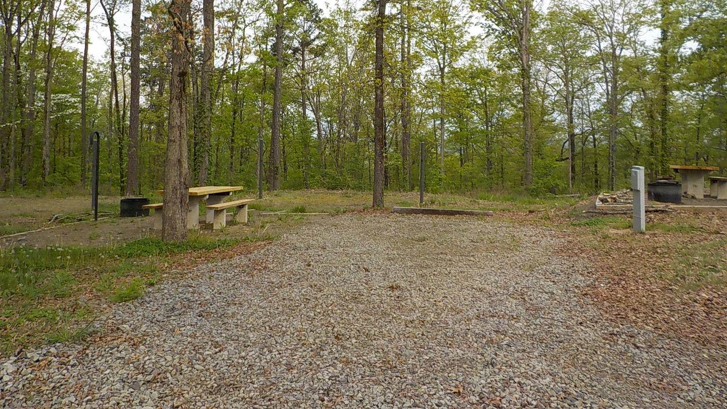 Camper submitted image from Moccasin Gap Horse Trail NF Campground - 2