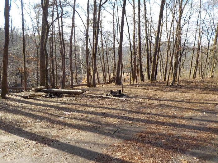 Camper-submitted photo at Wolf Pen Recreation Area Campground near Oark, AR