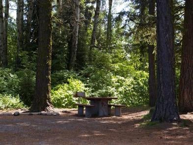 Camper submitted image from French Creek Campground - 1