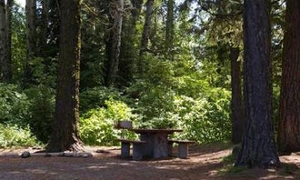 Camping near Ridgeview Campground — Lake Cascade State Park: French Creek Campground, Cascade, Idaho