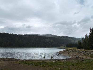 Camper submitted image from Grouse Campground - 1