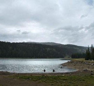 Camper-submitted photo from Grouse Campground