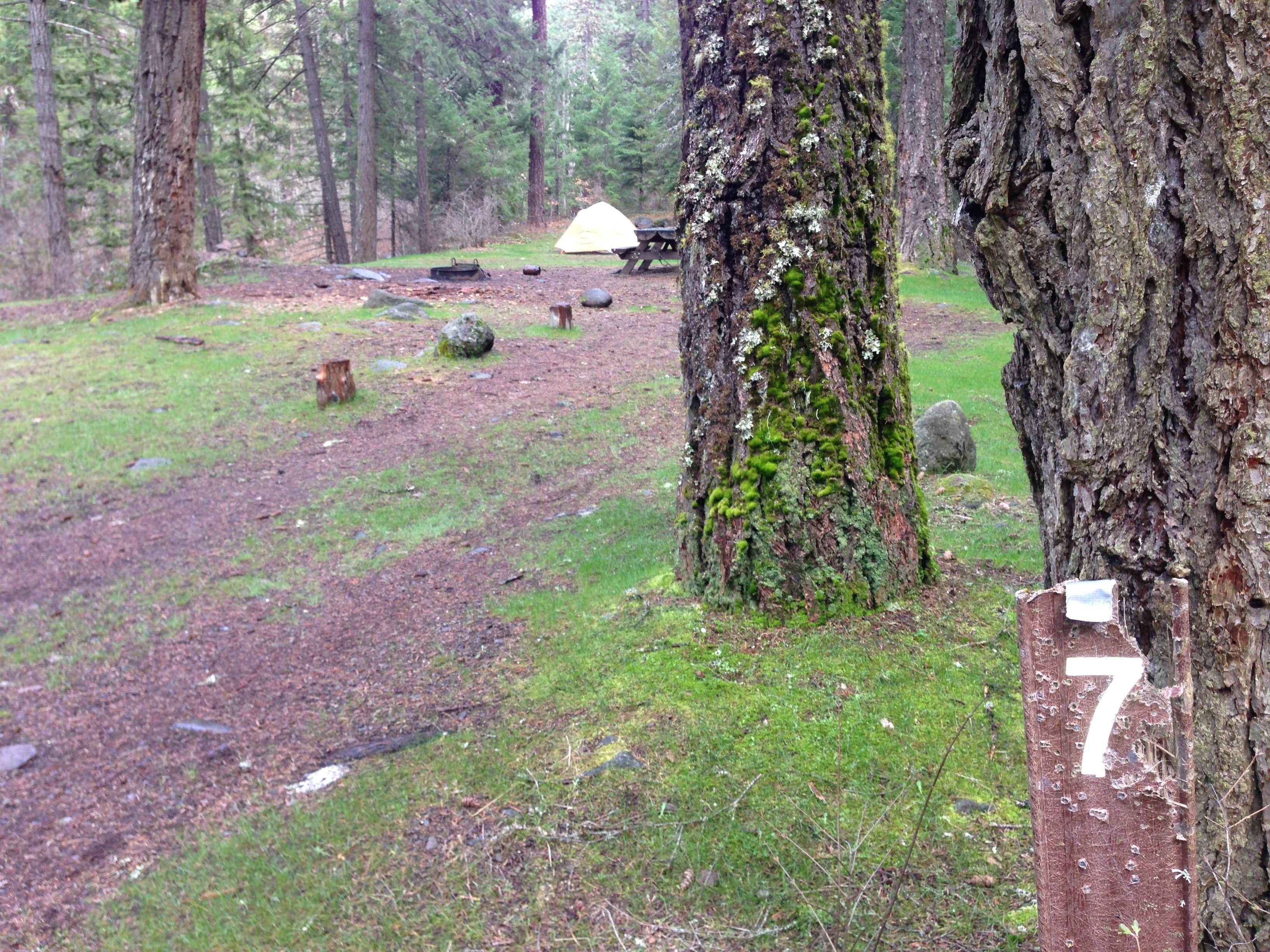 Camper-submitted photo at Bonney Crossing near Rhododendron, OR