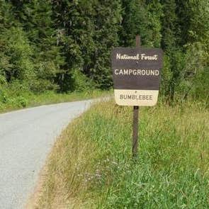 Bumblebee Campground Camping | The Dyrt