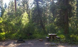 Camping near Mountain View: Park Creek (idaho), Lowman, Idaho