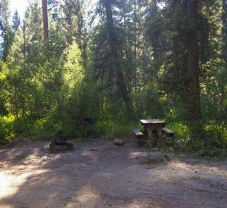 Camper-submitted photo from Park Creek (idaho)