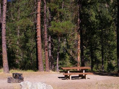 Camper submitted image from Pine Flats (ID) - 1