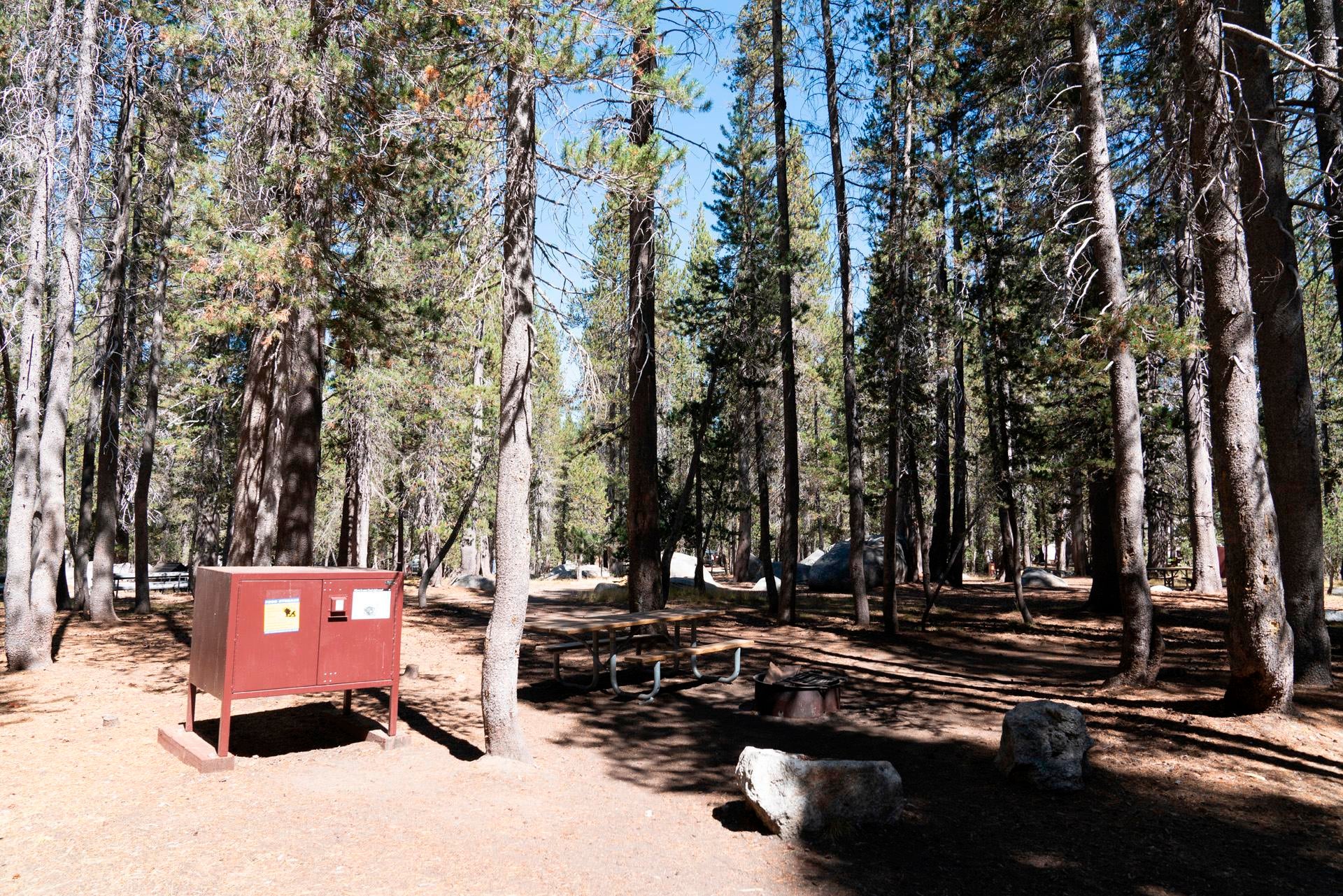 Camper submitted image from White Wolf Campground — Yosemite National Park - 1