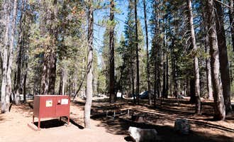 Camping near Porcupine Flat Campground — Yosemite National Park: White Wolf Campground — Yosemite National Park, Yosemite Valley, California