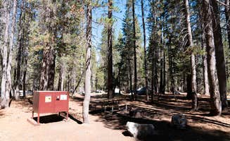 The Dyrt's photo at White Wolf Campground — Yosemite National Park near Eastman Lake