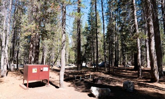 Camping near Silver Valley Campground — Yosemite National Park: White Wolf Campground — Yosemite National Park, Yosemite Valley, California