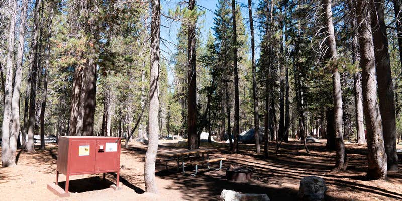Camper submitted image from White Wolf Campground — Yosemite National Park