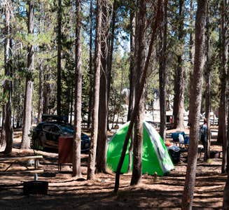 Camper-submitted photo from White Wolf Campground — Yosemite National Park