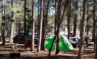 The Dyrt's photo at White Wolf Campground — Yosemite National Park near Yosemite Valley, CA