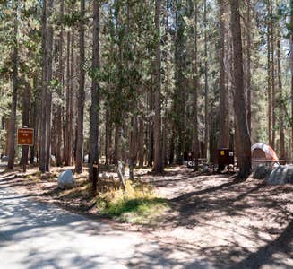 Camper-submitted photo from White Wolf Campground — Yosemite National Park