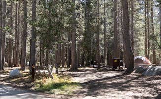 The Dyrt's photo at White Wolf Campground — Yosemite National Park near Eastman Lake