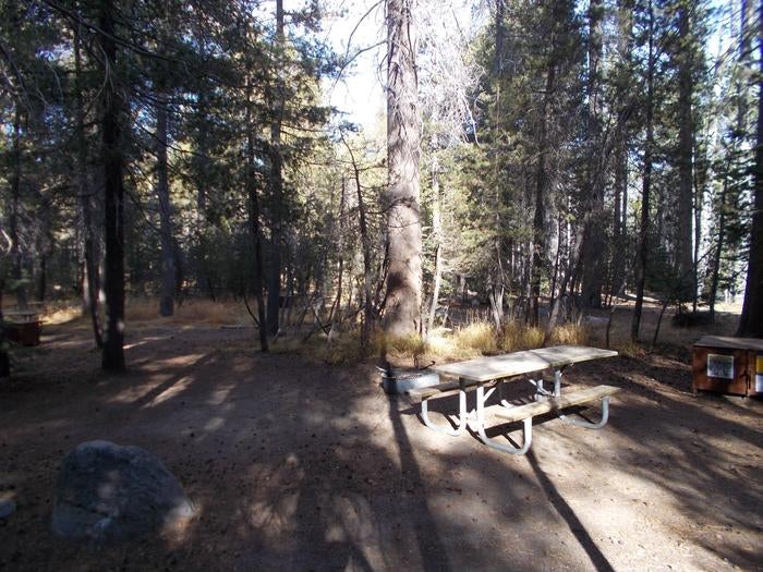 Camper submitted image from Bridalveil Creek Campground — Yosemite National Park - 2