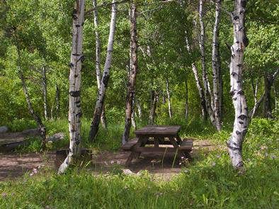 Camper submitted image from North Fork Campground - Sawtooth National Forest - 4