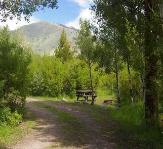 Camper-submitted photo from North Fork Campground - Sawtooth National Forest