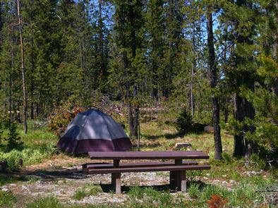 Camper submitted image from Trap Creek Campground - 5