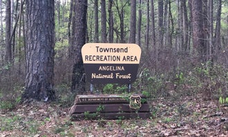 Camping near Angelina County Cassels-Boykin Park: Townsend Park, Zavalla, Texas
