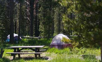 The Dyrt's photo at Trap Creek Campground near Salmon-Challis National Forest