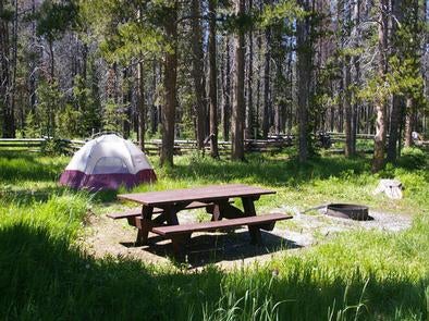 Camper submitted image from Trap Creek Campground - 3