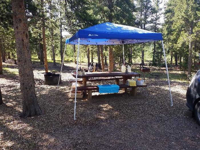 Camper submitted image from Columbine Campground - 2