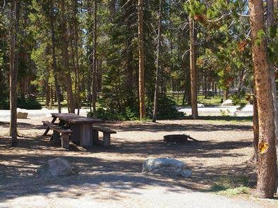 Camper submitted image from Sheep Trail Group Campground - 2