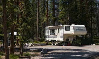 Camping near Sawtooth/Stanley Lake Inlet: Sheep Trail Group Campground, Stanley, Idaho