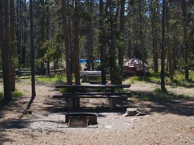 Camper submitted image from Elk Creek Campground (sawtooth Nf) - 1