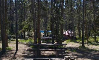 Camping near Nip and Tuck Road (FS RD 653 to 633): Elk Creek Campground (sawtooth Nf), Stanley, Idaho