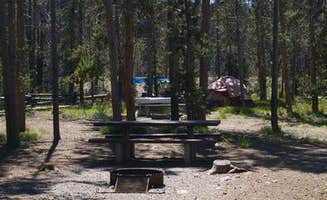 The Dyrt's photo at Elk Creek Campground (sawtooth Nf) near Salmon-Challis National Forest