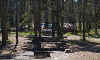 Camping near Basin Butte: Elk Creek Campground (sawtooth Nf), Stanley, Idaho