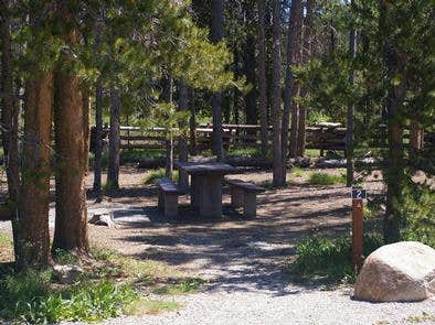 Camper submitted image from Elk Creek Campground (sawtooth Nf) - 2