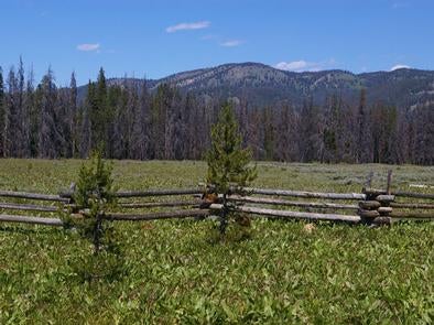Camper submitted image from Elk Creek Campground (sawtooth Nf) - 2