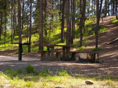 Camper submitted image from Boise National Forest Shoreline Campground - 4
