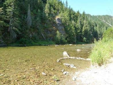 Camper submitted image from Coeur d'Alene National Forest Big Hank Campground - 4