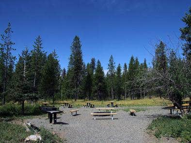 Camper submitted image from Cold Springs Campground - Payette Nf (ID) - 3