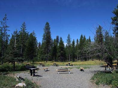 Camper submitted image from Cold Springs Campground - Payette Nf (ID) - 2