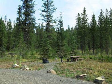 Camper submitted image from Cold Springs Campground - Payette Nf (ID) - 1