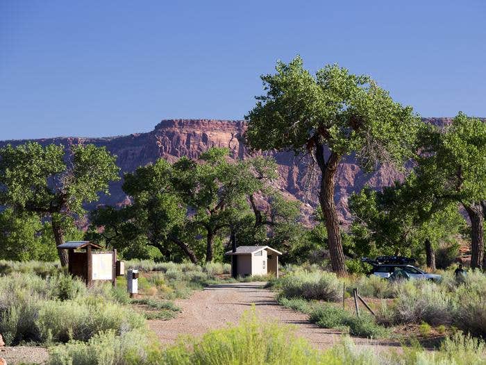 Camper submitted image from Creek Pasture Campground - 1
